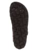 BIO PINGÜIN Teenslippers meerkleurig