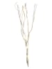 Best Season LED-Weidendeko "Willow" in Natur - (H)60 cm