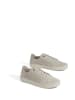 TOMS Sneakers beige