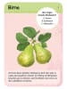 moses. Kartenset "50 heimische Garten- & Feldpflanzen" - ab 6 Jahren