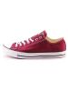 Converse Sneakers "Chuck Taylor All Star Seasonal" bordeaux