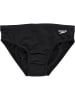 Speedo Zwembroek "Endurance" zwart