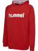 Hummel Hoodie "Logo" in Rot