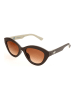 adidas Damen-Sonnenbrille in Dunkelbraun/ Beige