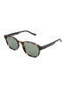 adidas Herren-Sonnenbrille in Braun/ Grün