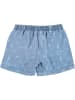 Replay & Sons Shorts in Hellblau