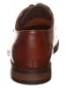 Clarks Skórzane trzewiki "Edward Plain" kolorze brązowym