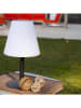 lumisky Ledsolarlamp "Standy" met kleurwisselfunctie - (H)36 x Ø 20 cm