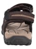 Geox Sandalen in Braun