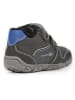 Geox Sneakers "Balu" in Grau/ Blau