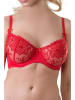 Valea Beugelbeha "Palmira" rood