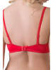 Valea Beugelbeha "Palmira" rood