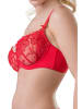 Valea Beugelbeha "Palmira" rood