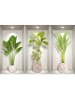 Ambiance 3D-Wandtattoo "Small Banana Trees"