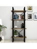 Scandinavia Concept Bücherregal "Alaro" in Walnuss/ Schwarz - (B)66 x (H)150 x (T)32 cm