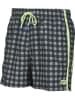 Arena Zwemshort "Small Checks" zwart/grijs