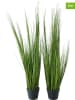 Boltze 2er-Set: Dekopflanzen "Gras" - (H)120 cm
