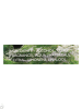 Lolita Lempicka Green Lover - eau de toilette, 50 ml