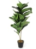 THE HOME DECO FACTORY Kunstplant groen - (H)98 x Ø 14 cm