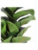 Garden Spirit Kunstplant groen - (H)98 x Ø 14 cm
