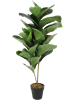 THE HOME DECO FACTORY Kunstplant groen - (H)98 x Ø 14 cm