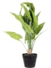 Garden Spirit Kunstplant groen - (H)55 x Ø 13 cm - (verrassingsproduct)