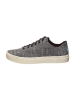 TOMS Sneakers "Lenox" zwart