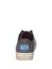 TOMS Sneakers "Lenox" in Schwarz