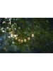 STAR Trading LED-Solarlichterkette "Partaj Solar" in Warmweiß - (L)180 cm