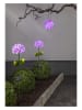 STAR Trading Decoratieve ledsolarhanger "Hortensia" violet - Ø 16 cm