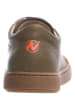 Naturino Leren sneakers kaki