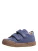 Naturino Leder-Sneakers in Blau