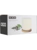 Ogo Living 2er-Set: Becher in Weiß - 250 ml
