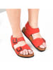 Moosefield Leder-Sandalen in Rot