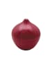 Utilinox Voorraaddoos bordeaux - (H)12 x Ø 11 cm