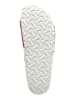 Birkenstock Klapki "Madrid" w kolorze czerwonym