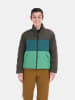 Donsjas "Ares" antraciet/turquoise/groen