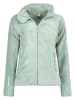 Fleecejacke "Udilas" in Mint
