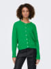 Vest groen