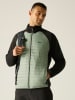 Hybridjacke "Clumber" in Grün