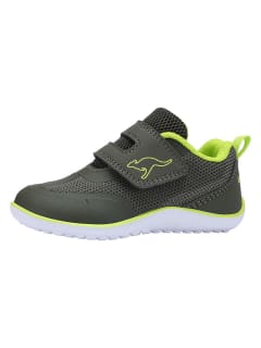 Kangaroos