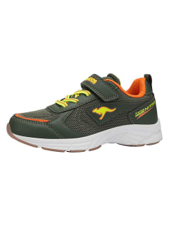 Kangaroos