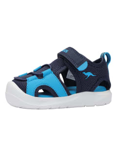 Kangaroos