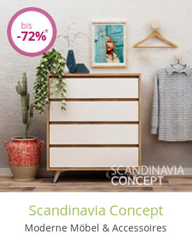 Scandinavia Concept