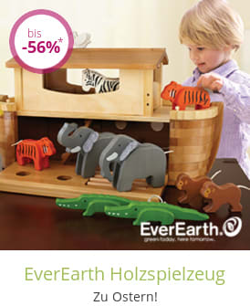 EverEarth Holzspielzeug