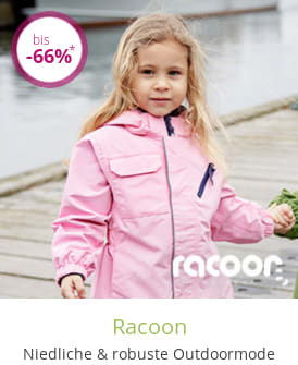 Racoon