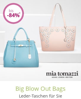 Big Blow Out Bags