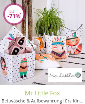 Mr Little Fox