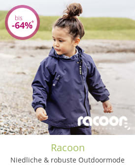 Racoon
