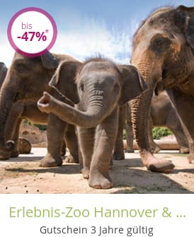 Erlebnis-Zoo Hannover & 4* Hotel Wyndham Atrium